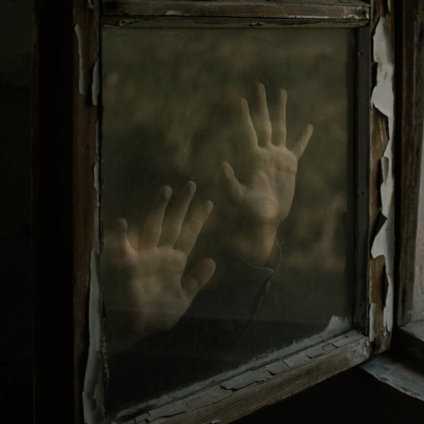 O atributo alt desta imagem está vazio. O nome do arquivo é pexels-photo-3393361-edited.jpeg